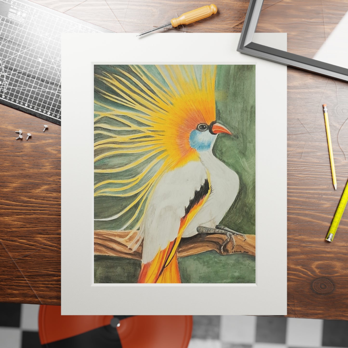 Bird of Paridise-Fine Art Prints - Colored Pencil Bird Print