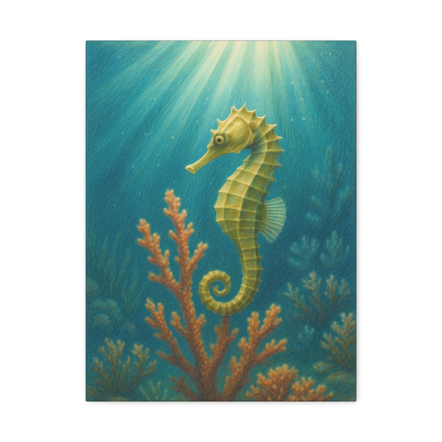 Lámina artística de caballito de mar con paspartú — Lámina artística náutica para pared