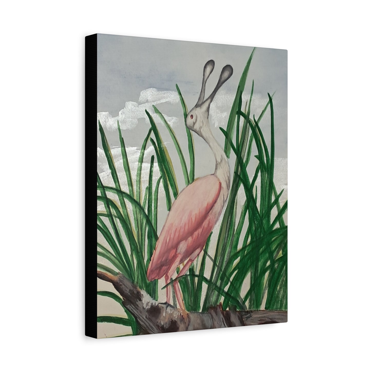 Florida Crane-Canvas Art Print, watercolor