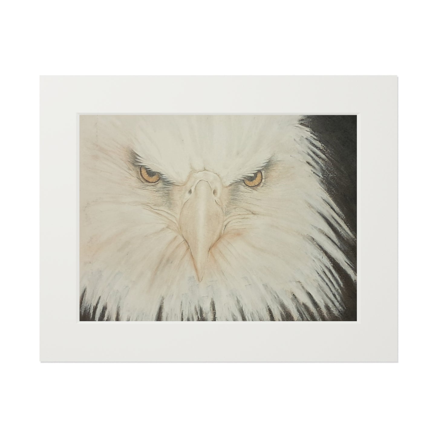 Vista de águila - Impresión de Bellas Artes - Colección Artística