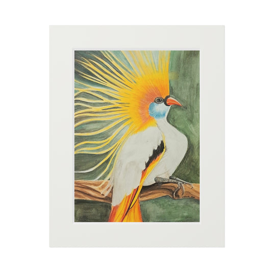 Bird of Paradise-Fine Art Prints - Colored Pencil Bird Print