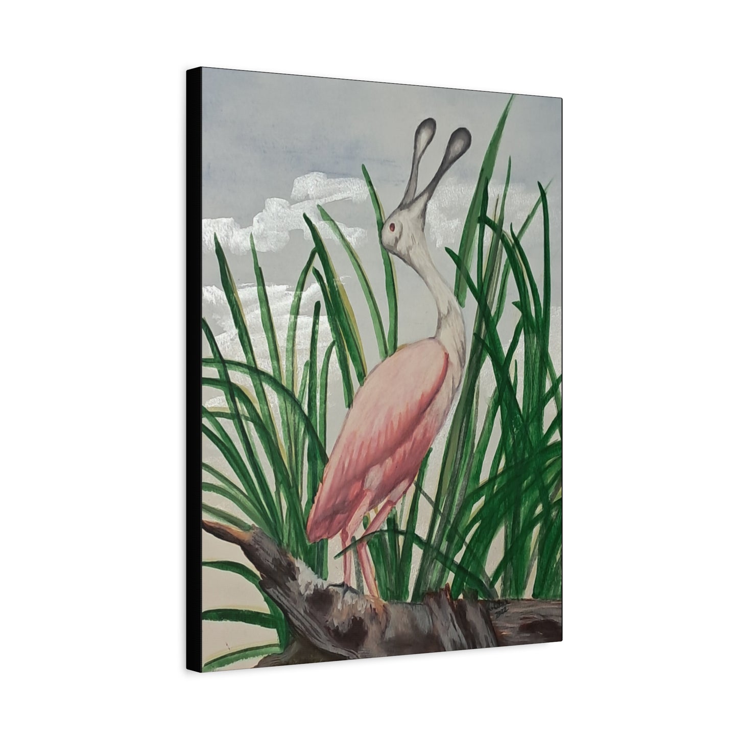 Florida Crane-Canvas Art Print, watercolor