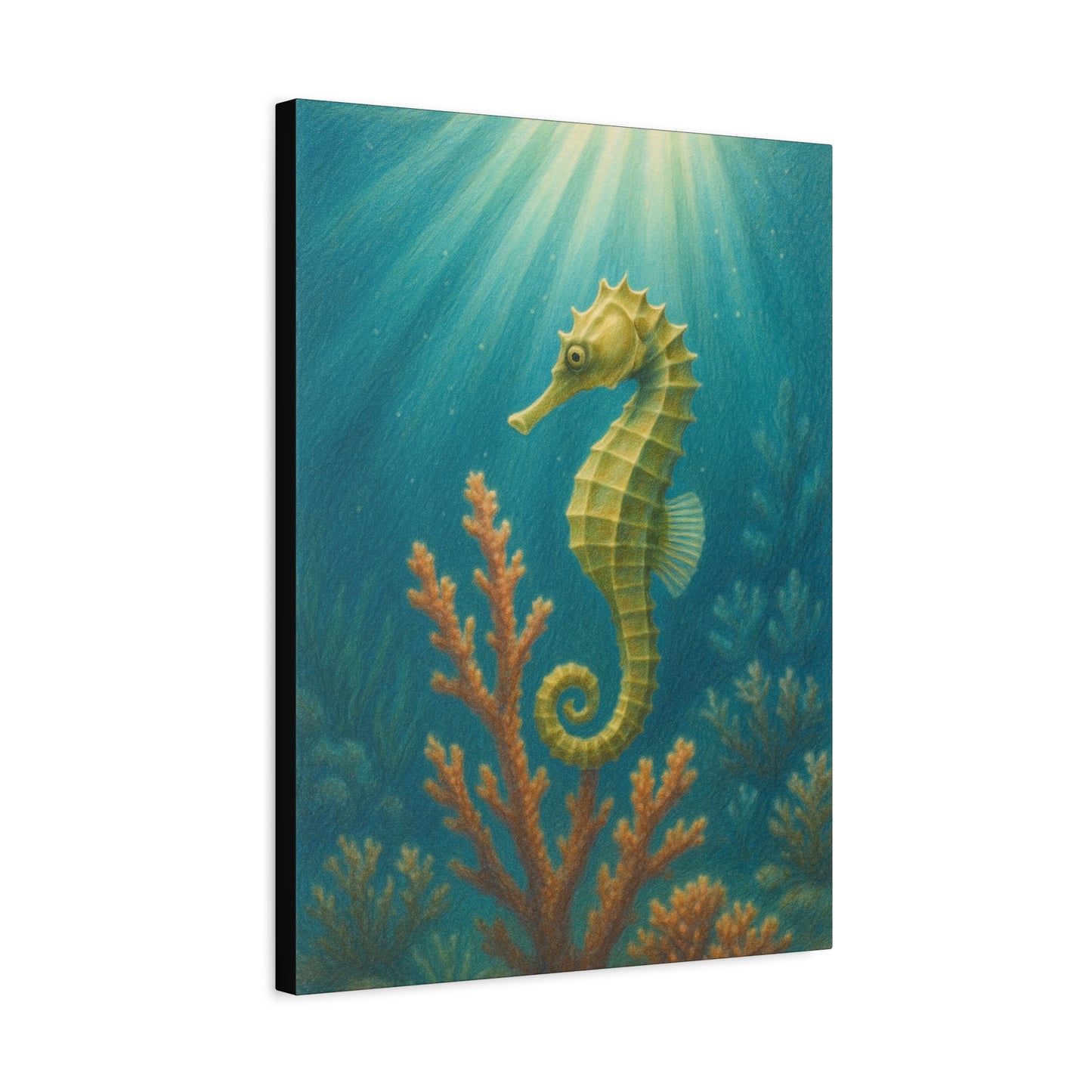Lámina artística de caballito de mar con paspartú — Lámina artística náutica para pared