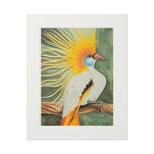 Bird of Paradise-Fine Art Prints - Colored Pencil Bird Print