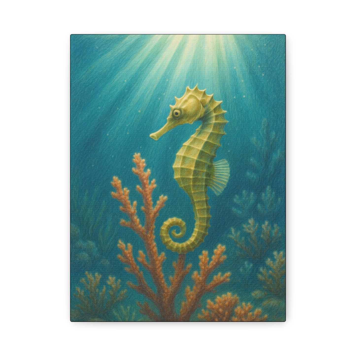 Lámina artística de caballito de mar con paspartú — Lámina artística náutica para pared