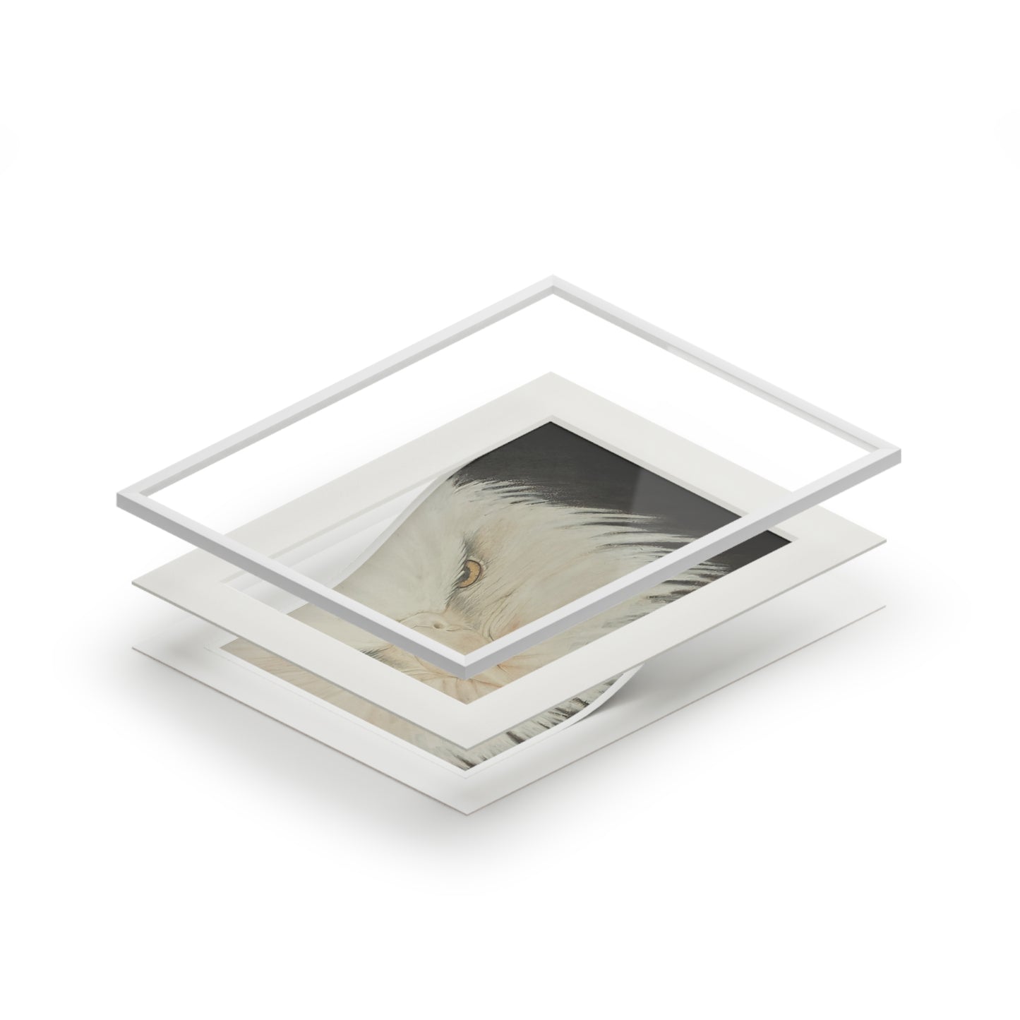 Vista de águila - Impresión de Bellas Artes - Colección Artística