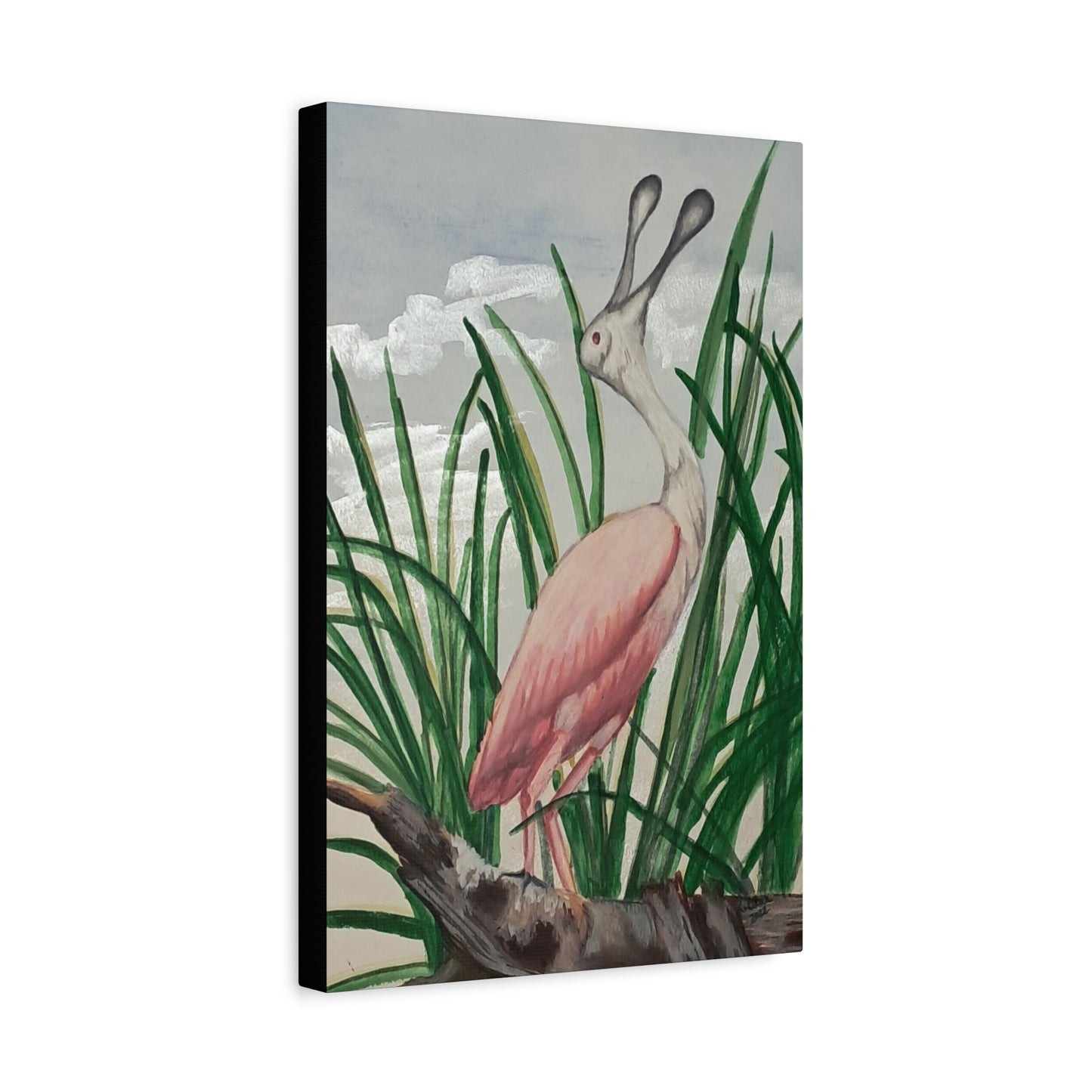 Florida Crane-Canvas Art Print, watercolor