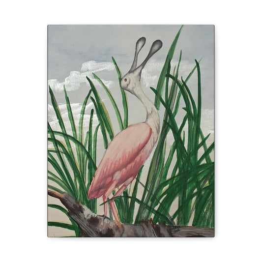 Florida Crane canvas print showing a pink wading bird with a spoon-shaped bill standing among tall green reeds.